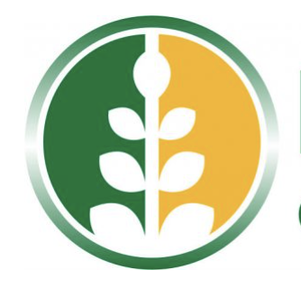 Molinos del Carmen