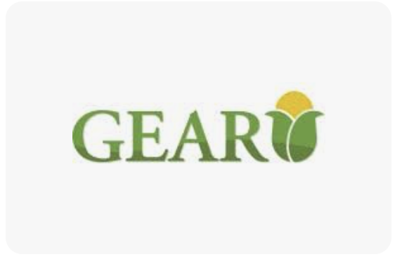 GEAR SAAICFEI